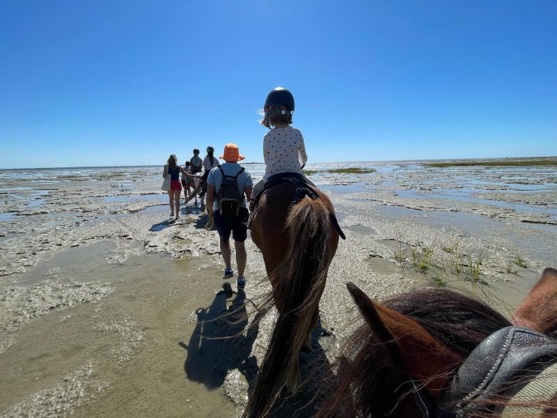 Agrandir l'image Immersion dans la nature à poney (image 2)